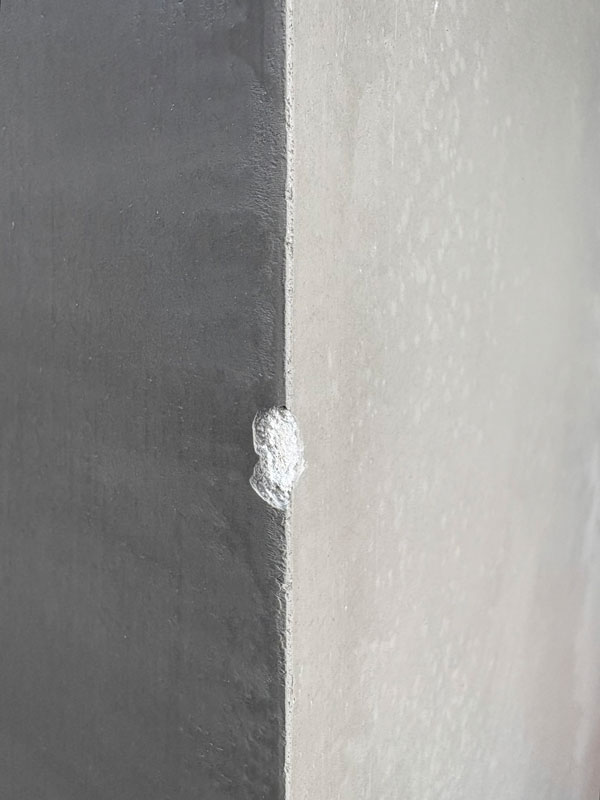 Chip before plaster repair